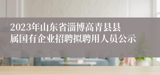 2023年山东省淄博高青县县属国有企业招聘拟聘用人员公示