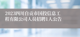 2023四川自贡市国投信息工程有限公司人员招聘1人公告