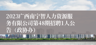 2023广西南宁智人力资源服务有限公司第48期招聘1人公告（政协办）