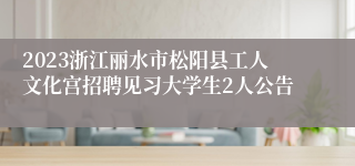 2023浙江丽水市松阳县工人文化宫招聘见习大学生2人公告