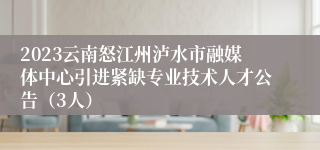 2023云南怒江州泸水市融媒体中心引进紧缺专业技术人才公告（3人）