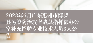 2023年6月广东惠州市博罗县污染防治攻坚战总指挥部办公室补充招聘专业技术人员3人公告