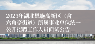 2023年湖北恩施高新区（含六角亭街道）所属事业单位统一公开招聘工作人员面试公告 