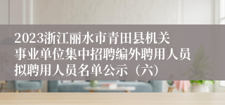 2023浙江丽水市青田县机关事业单位集中招聘编外聘用人员拟聘用人员名单公示（六）