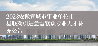 2023安徽宣城市事业单位市县联动引进急需紧缺专业人才补充公告