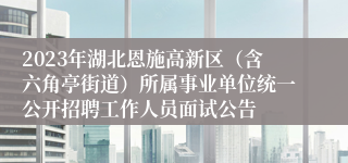 2023年湖北恩施高新区（含六角亭街道）所属事业单位统一公开招聘工作人员面试公告