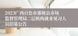 2023广西百色市那坡县市场监督管理局二层机构就业见习人员招募公告