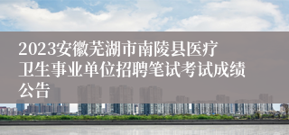 2023安徽芜湖市南陵县医疗卫生事业单位招聘笔试考试成绩公告