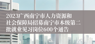 2023广西南宁市人力资源和社会保障局招募南宁市本级第二批就业见习岗位600个通告