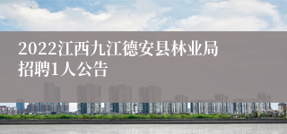 2022江西九江德安县林业局招聘1人公告