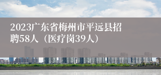 2023广东省梅州市平远县招聘58人（医疗岗39人）