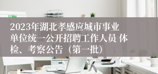 2023年湖北孝感应城市事业单位统一公开招聘工作人员 体检、考察公告（第一批）