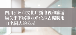 四川泸州市文化广播电视和旅游局关于下属事业单位拟占编聘用11名同志的公示