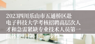 2023四川乐山市五通桥区赴电子科技大学考核招聘高层次人才和急需紧缺专业技术人员第一批体检待检、进一步检