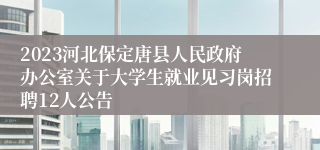 2023河北保定唐县人民政府办公室关于大学生就业见习岗招聘12人公告