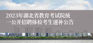 2023年湖北省教育考试院统一公开招聘体检考生递补公告