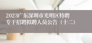 2023广东深圳市光明区特聘专干招聘拟聘人员公告（十二）