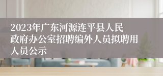 2023年广东河源连平县人民政府办公室招聘编外人员拟聘用人员公示