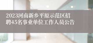 2023河南新乡平原示范区招聘45名事业单位工作人员公告