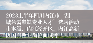 2023上半年四川内江市“甜城急需紧缺专业人才”选聘活动市本级、内江经开区、内江高新区国有企业岗位面试考