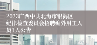 2023广西中共北海市银海区纪律检查委员会招聘编外用工人员1人公告