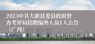 2023中共大新县委县政府督查考评局招聘编外人员1人公告（广西）