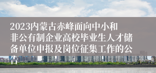 2023内蒙古赤峰面向中小和非公有制企业高校毕业生人才储备单位申报及岗位征集工作的公告 