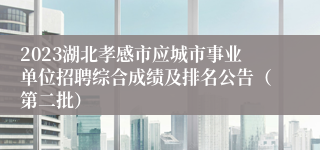 2023湖北孝感市应城市事业单位招聘综合成绩及排名公告（第二批）