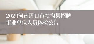 2023河南周口市扶沟县招聘事业单位人员体检公告