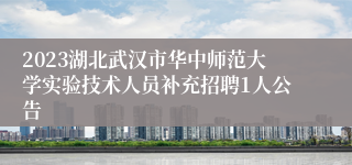 2023湖北武汉市华中师范大学实验技术人员补充招聘1人公告