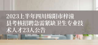 2023上半年四川绵阳市梓潼县考核招聘急需紧缺卫生专业技术人才23人公告