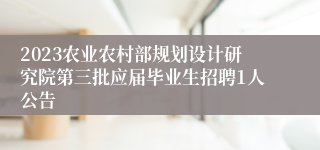 2023农业农村部规划设计研究院第三批应届毕业生招聘1人公告