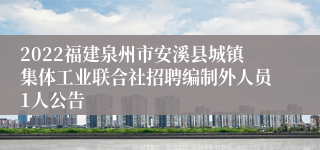 2022福建泉州市安溪县城镇集体工业联合社招聘编制外人员1人公告