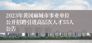 2023年黄冈麻城市事业单位公开招聘引进高层次人才55人公告