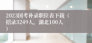 2023国考补录职位表下载（招录3249人，湖北100人）