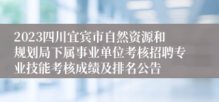 2023四川宜宾市自然资源和规划局下属事业单位考核招聘专业技能考核成绩及排名公告