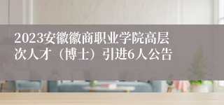 2023安徽徽商职业学院高层次人才（博士）引进6人公告