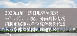 2023山东“逐日追梦照亮未来”北京、西安、济南高校专场招聘市属事业单位综合类岗位进入考察体检范围人选递补公告（三）