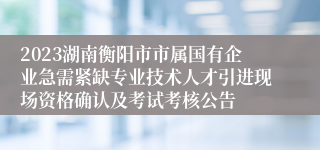2023湖南衡阳市市属国有企业急需紧缺专业技术人才引进现场资格确认及考试考核公告