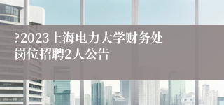 ?2023上海电力大学财务处岗位招聘2人公告