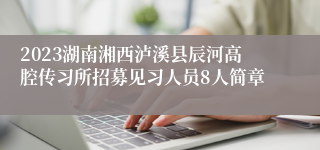 2023湖南湘西泸溪县辰河高腔传习所招募见习人员8人简章