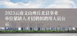 2023云南文山州丘北县事业单位紧缺人才招聘拟聘用人员公示