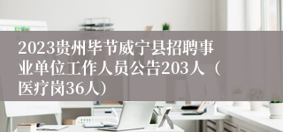 2023贵州毕节威宁县招聘事业单位工作人员公告203人（医疗岗36人）