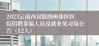 2023云南西双版纳州傣医医院招聘非编人员及就业见习岗公告（12人）