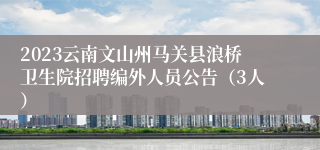 2023云南文山州马关县浪桥卫生院招聘编外人员公告（3人）