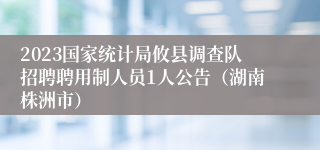 2023国家统计局攸县调查队招聘聘用制人员1人公告（湖南株洲市）