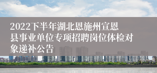 2022下半年湖北恩施州宣恩县事业单位专项招聘岗位体检对象递补公告