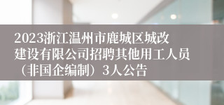 2023浙江温州市鹿城区城改建设有限公司招聘其他用工人员（非国企编制）3人公告