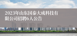 2023年山东国泰大成科技有限公司招聘6人公告