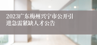 2023广东梅州兴宁市公开引进急需紧缺人才公告